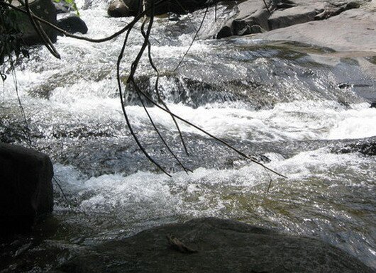 Sổ tay du lịch so tay du lich Sotaydulich Sotay Dulich Khampha Kham Pha Bui Ve Binh Thuan truot thac