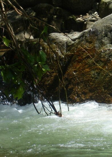 Sổ tay du lịch so tay du lich Sotaydulich Sotay Dulich Khampha Kham Pha Bui Ve Binh Thuan truot thac
