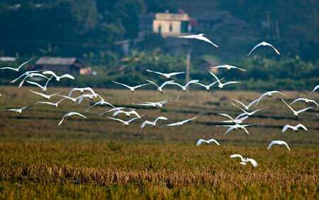 Sổ tay du lịch so tay du lich Sotaydulich Sotay Dulich Khampha Kham Pha Bui Ve Ban Qua ngam dan co hoang da