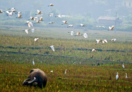 Sổ tay du lịch so tay du lich Sotaydulich Sotay Dulich Khampha Kham Pha Bui Ve Ban Qua ngam dan co hoang da