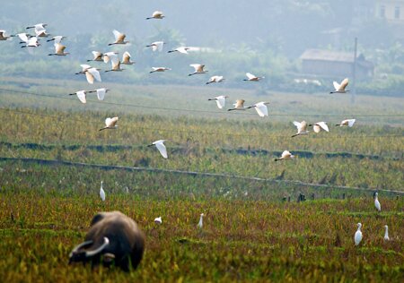Sổ tay du lịch so tay du lich Sotaydulich Sotay Dulich Khampha Kham Pha Bui Ve Ban Qua ngam dan co hoang da