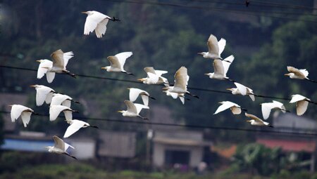 Sổ tay du lịch so tay du lich Sotaydulich Sotay Dulich Khampha Kham Pha Bui Ve Ban Qua ngam dan co hoang da