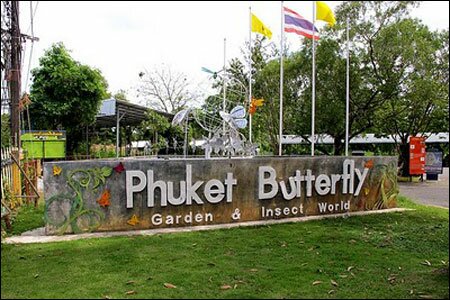 Sổ tay du lịch so tay du lich Sotaydulich Sotay Dulich Khampha Kham Pha Bui Den voi vuon buom Phuket xinh dep o Thai Lan