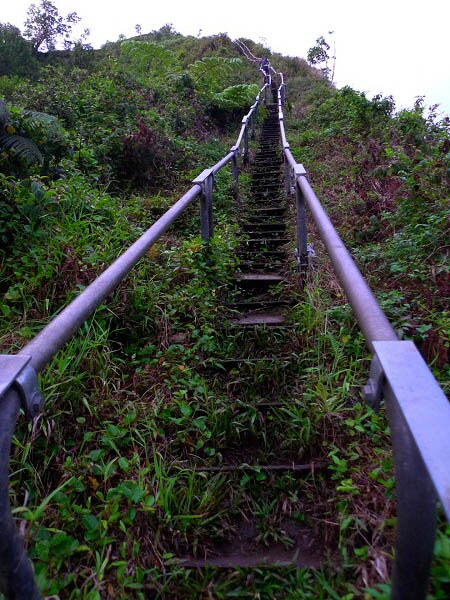 Sổ tay du lịch so tay du lich Sotaydulich Sotay Dulich Khampha Kham Pha Bui Cau thang thien duong ngoan muc o My