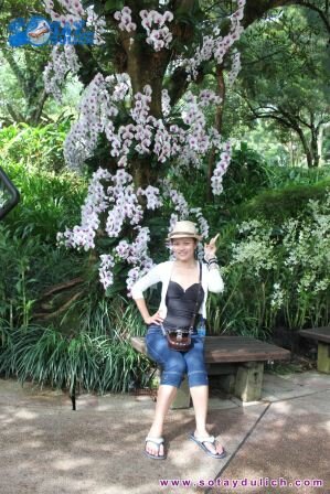 Sổ tay du lịch so tay du lich Sotaydulich Sotay Dulich Khampha Kham Pha Bui Hinh anh offline Singapore thang 11 khang khi tinh than