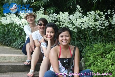Sổ tay du lịch so tay du lich Sotaydulich Sotay Dulich Khampha Kham Pha Bui Hinh anh offline Singapore thang 11 khang khi tinh than