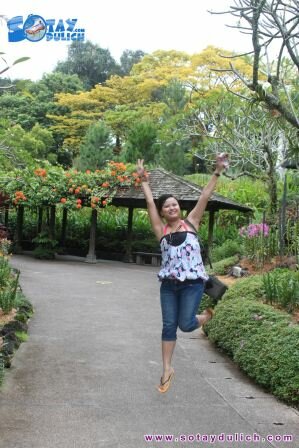 Sổ tay du lịch so tay du lich Sotaydulich Sotay Dulich Khampha Kham Pha Bui Hinh anh offline Singapore thang 11 khang khi tinh than