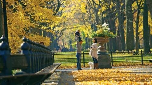 Sổ tay du lịch so tay du lich Sotaydulich Sotay Dulich Khampha Kham Pha Bui Mua dep nhat o New York