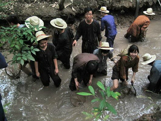 Sổ tay du lịch so tay du lich Sotaydulich Sotay Dulich Khampha Kham Pha Bui Ve mien Tay loi muong bat ca