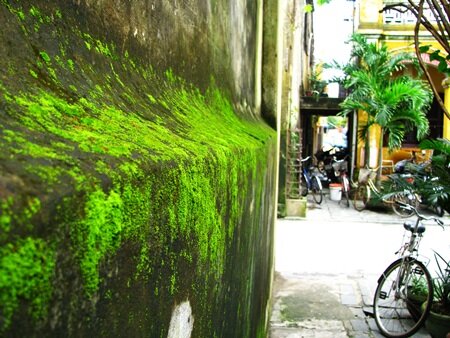 Sổ tay du lịch so tay du lich Sotaydulich Sotay Dulich Khampha Kham Pha Bui Xanh non na tren mai co Hoi An