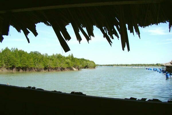 Sổ tay du lịch so tay du lich Sotaydulich Sotay Dulich Khampha Kham Pha Bui Bong bnh song nuoc Long Son