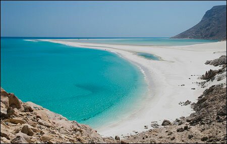 Sổ tay du lịch so tay du lich Sotaydulich Sotay Dulich Khampha Kham Pha Bui Dao Socotra vung dat cua loai huyet rong quy hiem