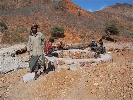 Sổ tay du lịch so tay du lich Sotaydulich Sotay Dulich Khampha Kham Pha Bui Dao Socotra vung dat cua loai huyet rong quy hiem
