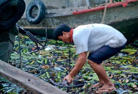 Sổ tay du lịch so tay du lich Sotaydulich Sotay Dulich Khampha Kham Pha Bui Cho noi giua long Sai Gon