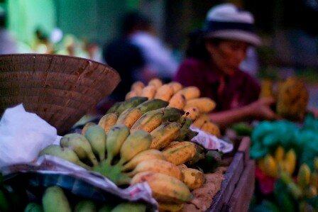 Sổ tay du lịch so tay du lich Sotaydulich Sotay Dulich Khampha Kham Pha Bui Cho noi giua long Sai Gon