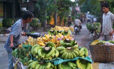 Sổ tay du lịch so tay du lich Sotaydulich Sotay Dulich Khampha Kham Pha Bui Cho noi giua long Sai Gon