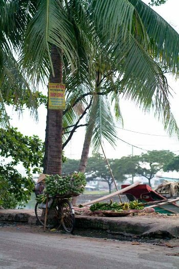 Sổ tay du lịch so tay du lich Sotaydulich Sotay Dulich Khampha Kham Pha Bui Cho noi giua long Sai Gon