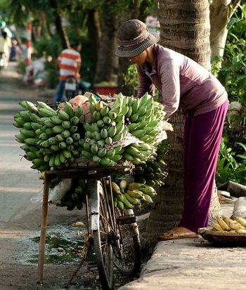 Sổ tay du lịch so tay du lich Sotaydulich Sotay Dulich Khampha Kham Pha Bui Cho noi giua long Sai Gon