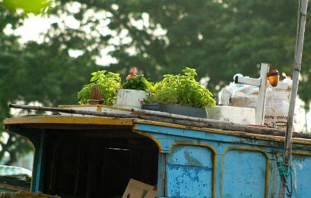 Sổ tay du lịch so tay du lich Sotaydulich Sotay Dulich Khampha Kham Pha Bui Cho noi giua long Sai Gon