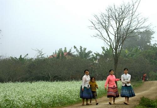Sổ tay du lịch so tay du lich Sotaydulich Sotay Dulich Khampha Kham Pha Bui Thong cuong mua cai trang