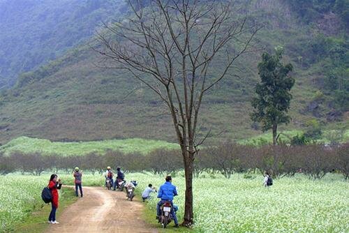 Sổ tay du lịch so tay du lich Sotaydulich Sotay Dulich Khampha Kham Pha Bui Thong cuong mua cai trang