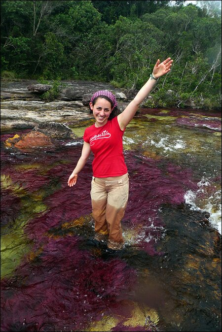Sổ tay du lịch so tay du lich Sotaydulich Sotay Dulich Khampha Kham Pha Bui Ruc ro sac mau Cano Cristales o Colombia