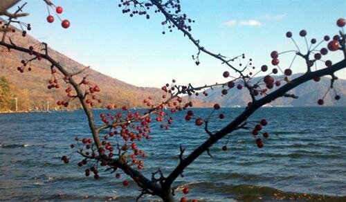 Sổ tay du lịch so tay du lich Sotaydulich Sotay Dulich Khampha Kham Pha Bui Mong mo ho Nikko