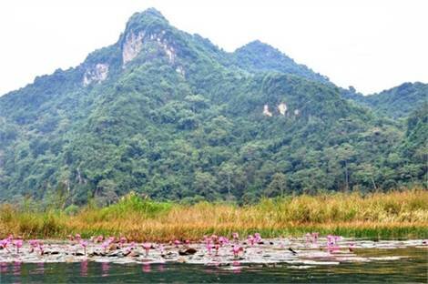 Sổ tay du lịch so tay du lich Sotaydulich Sotay Dulich Khampha Kham Pha Bui Den chua Huong mua gia ret