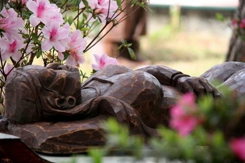 Sổ tay du lịch so tay du lich Sotaydulich Sotay Dulich Khampha Kham Pha Bui Hoa tulip khoe sac o Da Lat