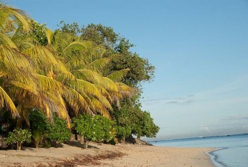 Sổ tay du lịch so tay du lich Sotaydulich Sotay Dulich Khampha Kham Pha Bui Samoa noi tuyet voi de don nam moi