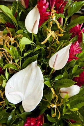 Sổ tay du lịch so tay du lich Sotaydulich Sotay Dulich Khampha Kham Pha Bui Samoa noi tuyet voi de don nam moi