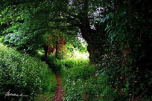 Sổ tay du lịch so tay du lich Sotaydulich Sotay Dulich Khampha Kham Pha Bui Vong quanh nuoc Phap Tour de France Le Mans Thanh pho cua bo mon dua xe 
