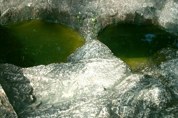  Sổ tay du lịch so tay du lich Sotaydulich Sotay Dulich Khampha Kham Pha Bui Len Nui Dai Nam Gieng