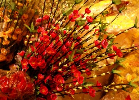 Sổ tay du lịch so tay du lich Sotaydulich Sotay Dulich Khampha Kham Pha Bui Pho nguoi Hoa o Sai Gon do ruc don Tet