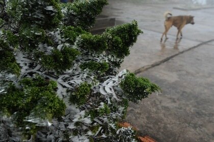 Sổ tay du lịch so tay du lich Sotaydulich Sotay Dulich Khampha Kham Pha Bui Ky thu bang tuyet phu trang dinh mau son