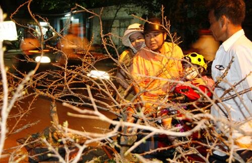 Sổ tay du lịch so tay du lich Sotaydulich Sotay Dulich Khampha Kham Pha Bui Khai mac cho hoa tet tren ben duoi thuyen