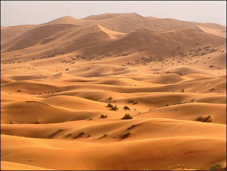 Sổ tay du lịch so tay du lich Sotaydulich Sotay Dulich Khampha Kham Pha Bui Cuoi lac da tham quan con cat Erg Chebbi xinh dep o Morocco