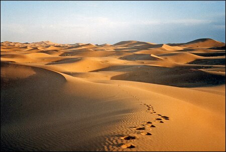 Sổ tay du lịch so tay du lich Sotaydulich Sotay Dulich Khampha Kham Pha Bui Cuoi lac da tham quan con cat Erg Chebbi xinh dep o Morocco