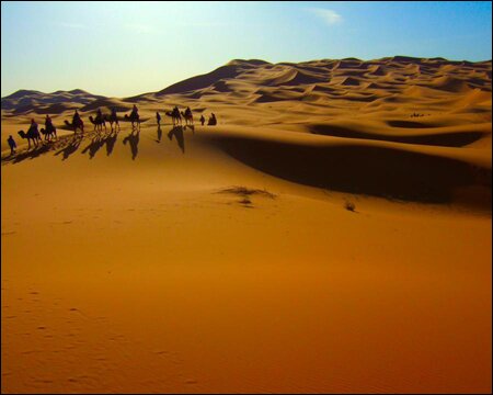 Sổ tay du lịch so tay du lich Sotaydulich Sotay Dulich Khampha Kham Pha Bui Cuoi lac da tham quan con cat Erg Chebbi xinh dep o Morocco