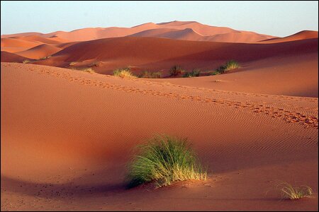 Sổ tay du lịch so tay du lich Sotaydulich Sotay Dulich Khampha Kham Pha Bui Cuoi lac da tham quan con cat Erg Chebbi xinh dep o Morocco