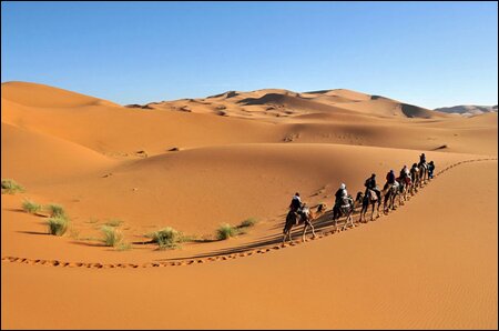 Sổ tay du lịch so tay du lich Sotaydulich Sotay Dulich Khampha Kham Pha Bui Cuoi lac da tham quan con cat Erg Chebbi xinh dep o Morocco