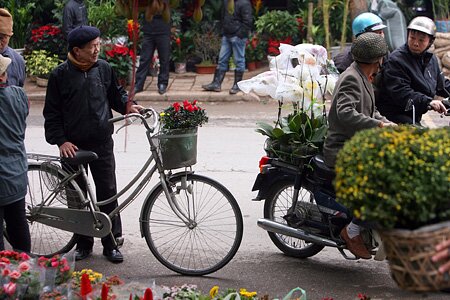 Sổ tay du lịch so tay du lich Sotaydulich Sotay Dulich Khampha Kham Pha Bui Du xuan cho phoen giua Ha Noi