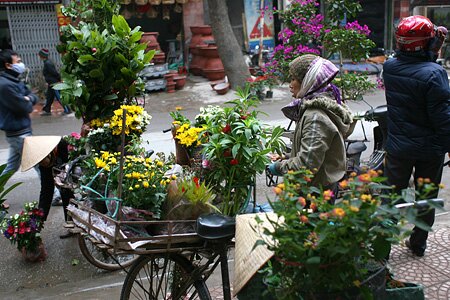 Sổ tay du lịch so tay du lich Sotaydulich Sotay Dulich Khampha Kham Pha Bui Du xuan cho phoen giua Ha Noi
