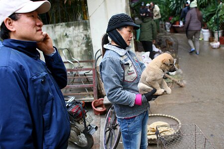 Sổ tay du lịch so tay du lich Sotaydulich Sotay Dulich Khampha Kham Pha Bui Du xuan cho phoen giua Ha Noi
