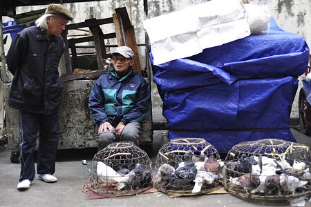 Sổ tay du lịch so tay du lich Sotaydulich Sotay Dulich Khampha Kham Pha Bui Du xuan cho phoen giua Ha Noi