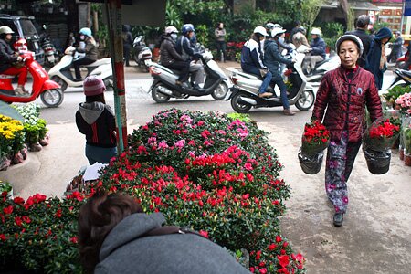 Sổ tay du lịch so tay du lich Sotaydulich Sotay Dulich Khampha Kham Pha Bui Du xuan cho phoen giua Ha Noi