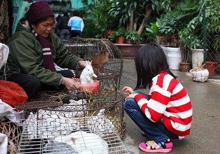 Sổ tay du lịch so tay du lich Sotaydulich Sotay Dulich Khampha Kham Pha Bui Du xuan cho phoen giua Ha Noi