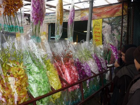 Sổ tay du lịch so tay du lich Sotaydulich Sotay Dulich Khampha Kham Pha Bui Nhon nhip cho hoa Quang An dip cuoi nam