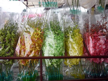 Sổ tay du lịch so tay du lich Sotaydulich Sotay Dulich Khampha Kham Pha Bui Nhon nhip cho hoa Quang An dip cuoi nam