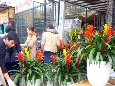 Sổ tay du lịch so tay du lich Sotaydulich Sotay Dulich Khampha Kham Pha Bui Nhon nhip cho hoa Quang An dip cuoi nam